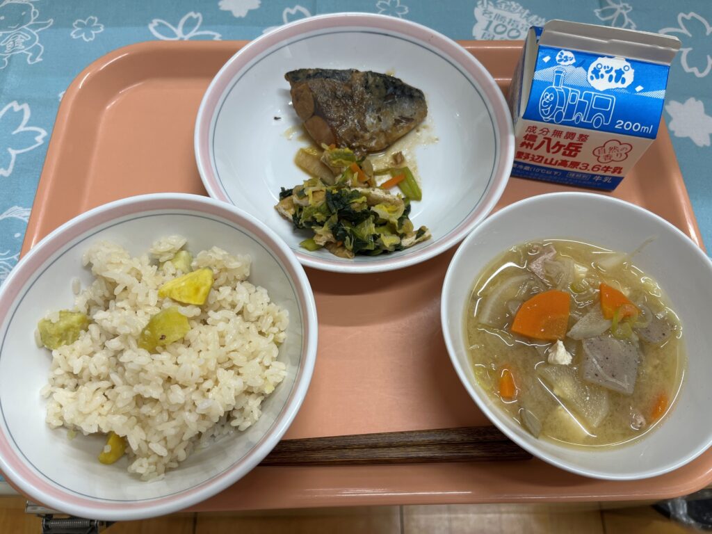 ランチニュース